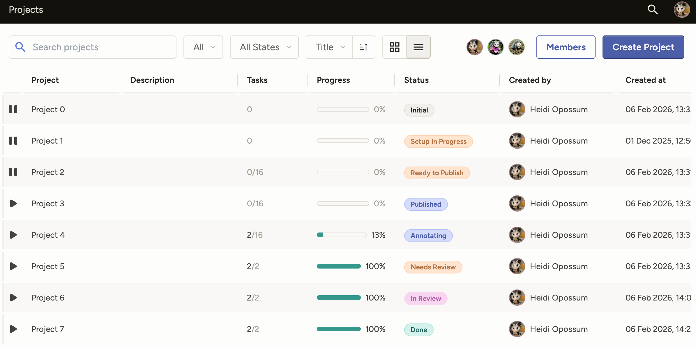 Screenshot of project states