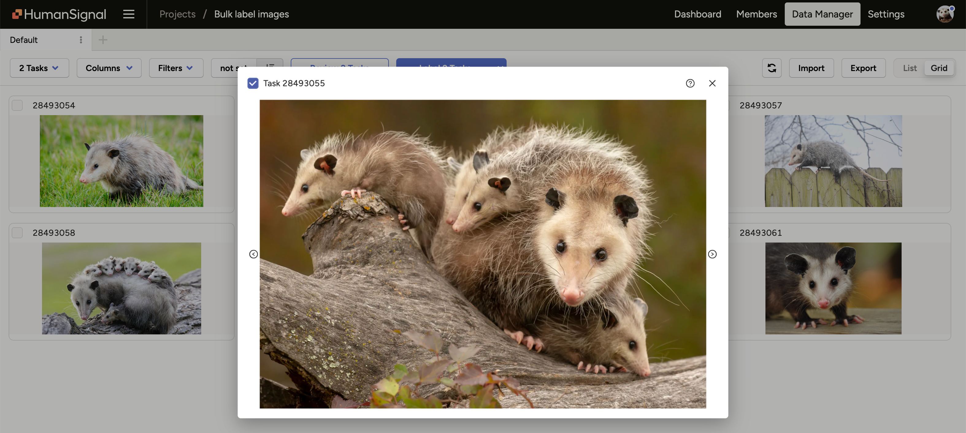 Screenshot of Grid View preview