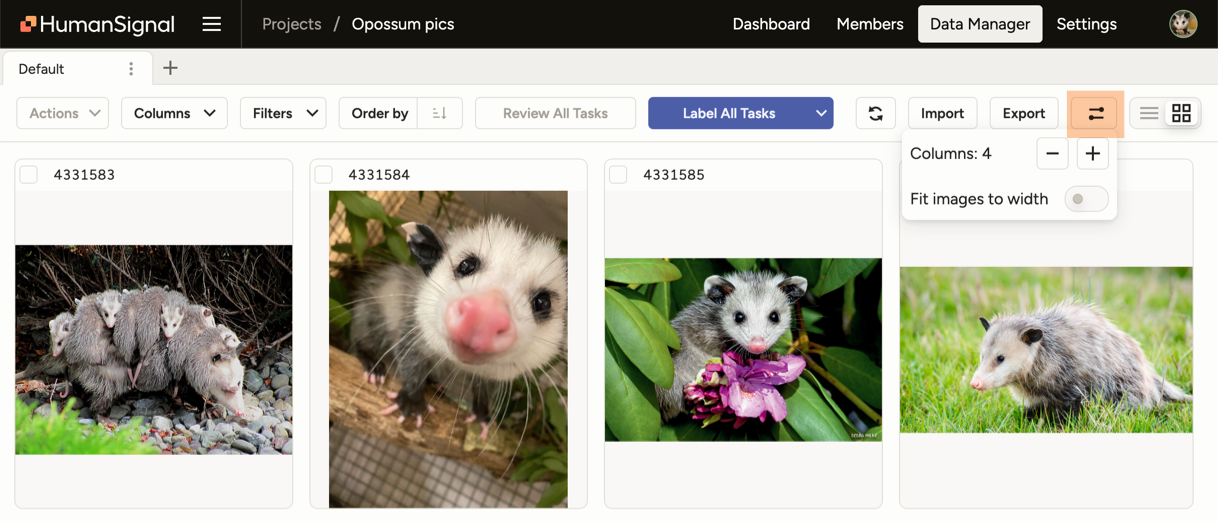 Image of grid view