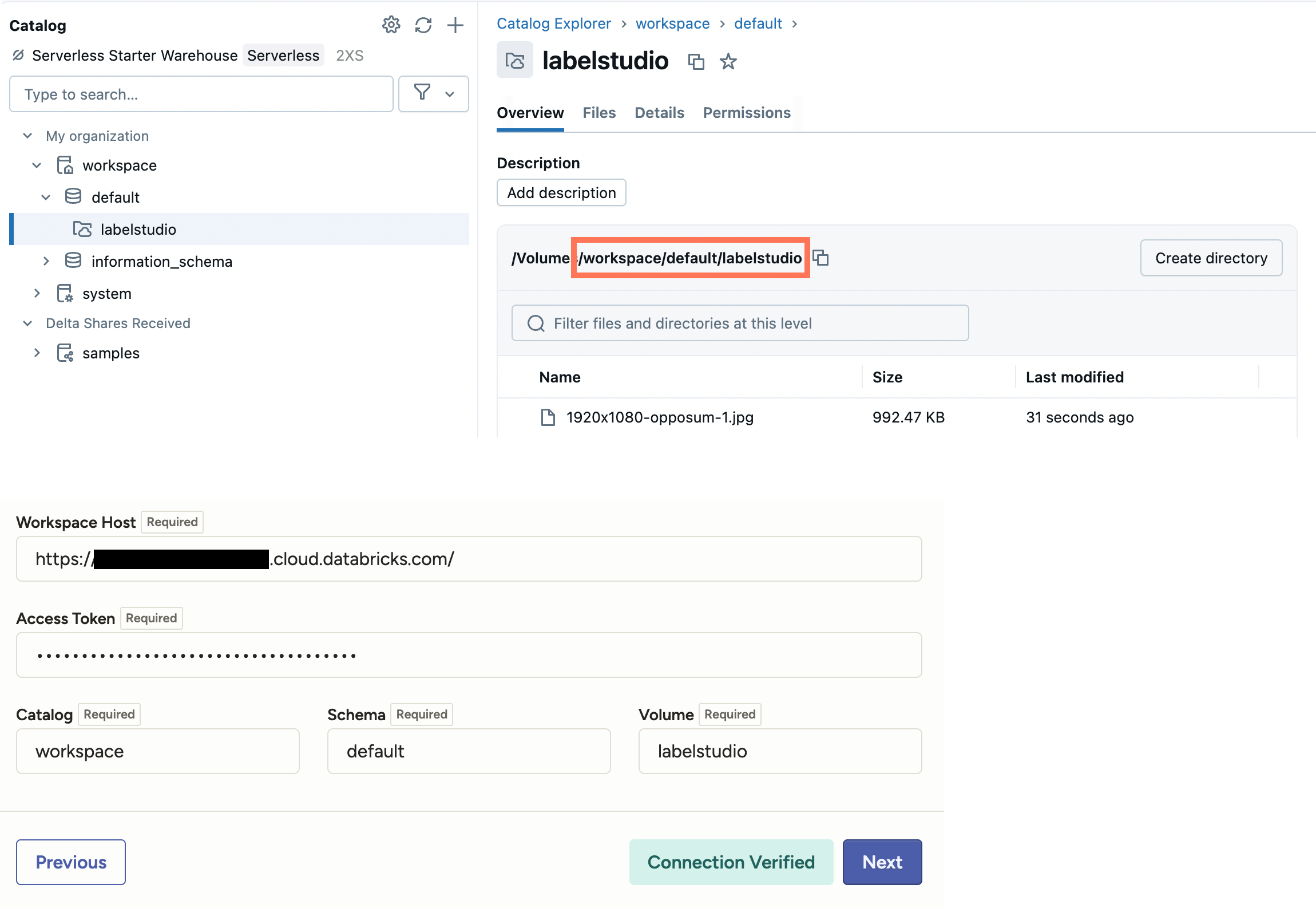 Screenshot of Databricks UI and LS UI